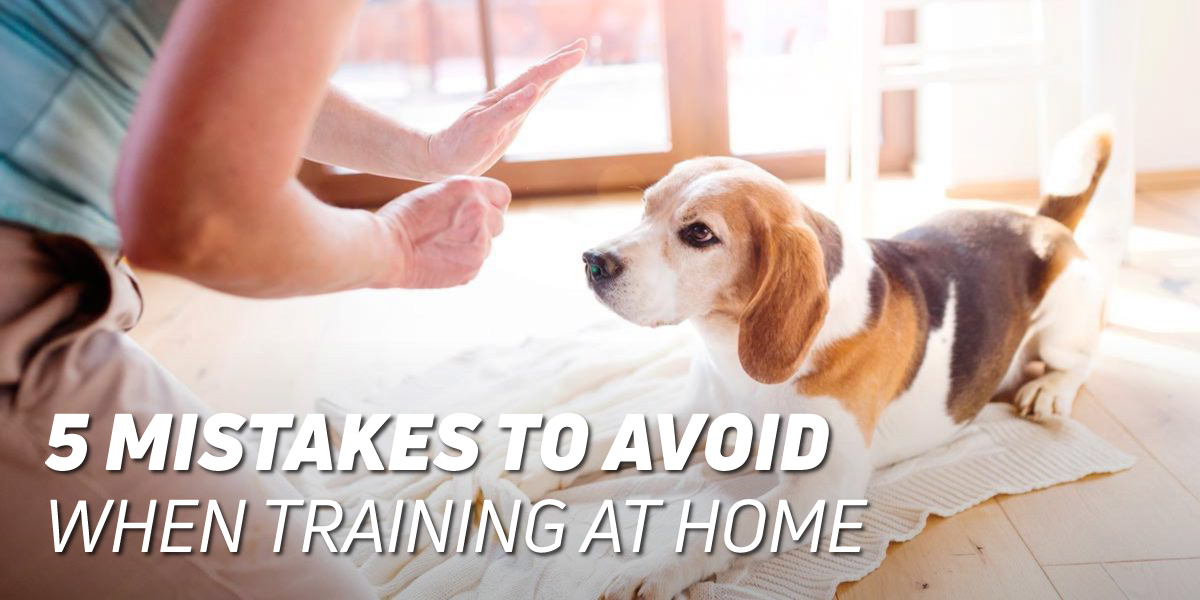 5 Mistakes to Avoid when Training at Home