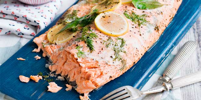 Salmon