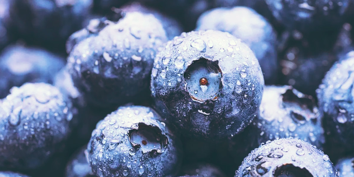 Antioxidants