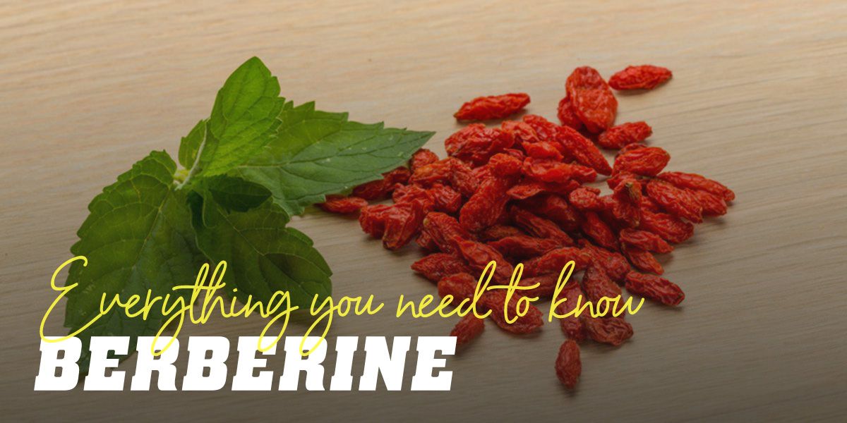 Berberine: A multipurpose therapeutic remedy