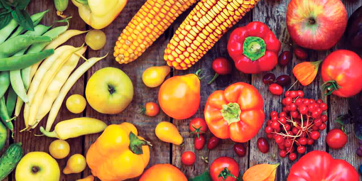 Frutas legumes