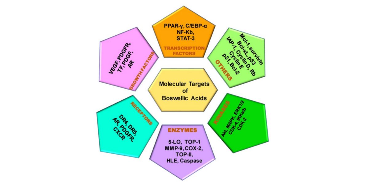 Molecular action targets Molecular action targets
