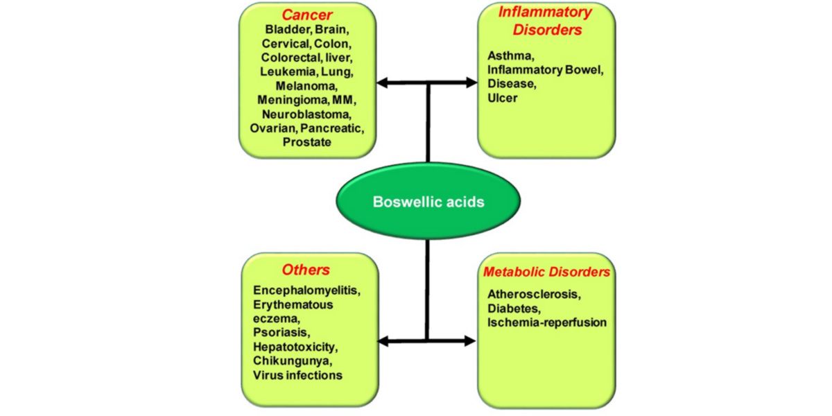 Pathologies Pathologies