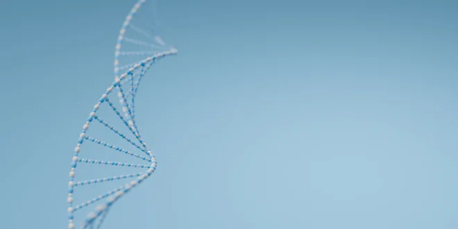 What is protein synthesis and what are its stages? What is protein synthesis and what are its stages?