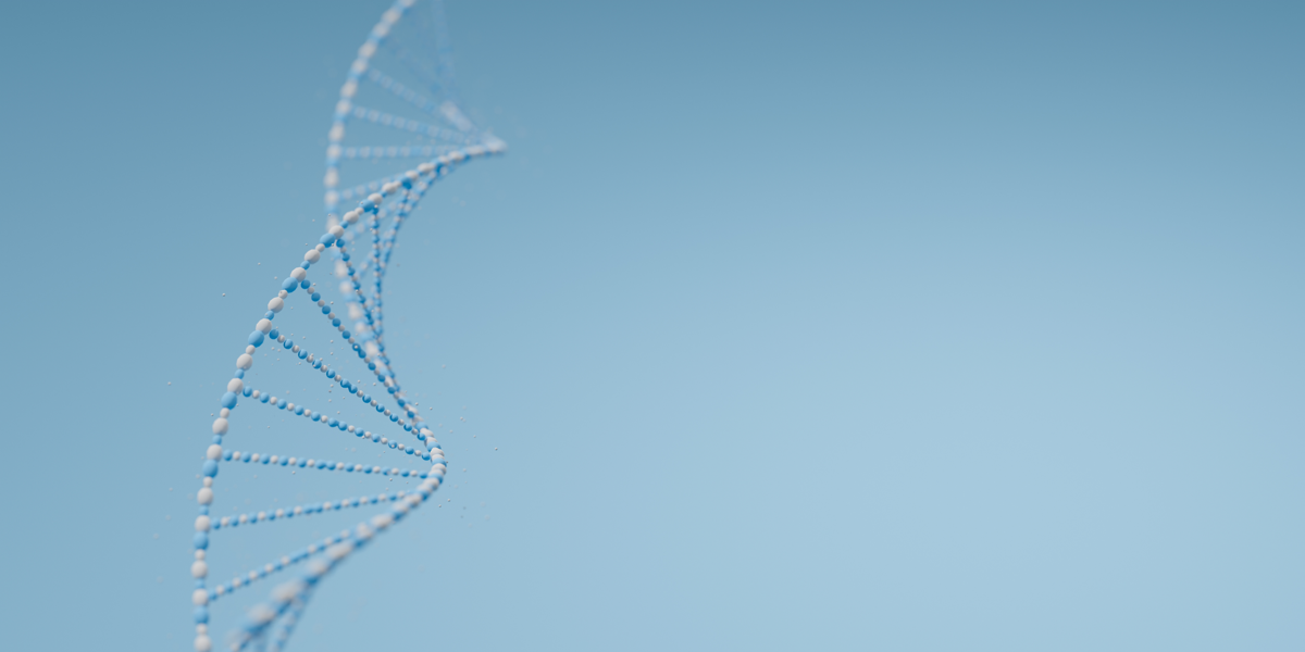 What is protein synthesis and what are its stages?