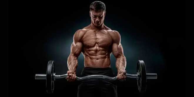 Build muscle mass