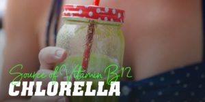 Chlorella