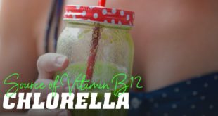 Chlorella