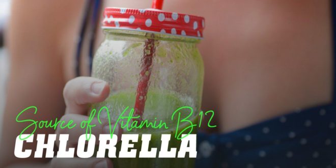 Chlorella: Source of Vitamin B12