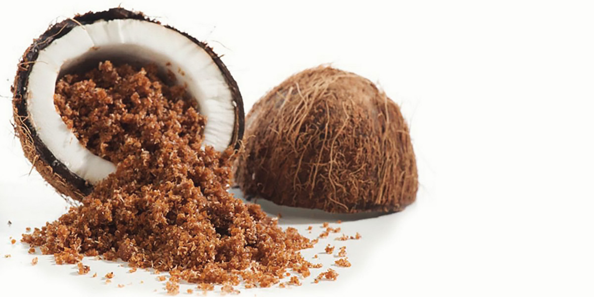 Coconut Coconut
