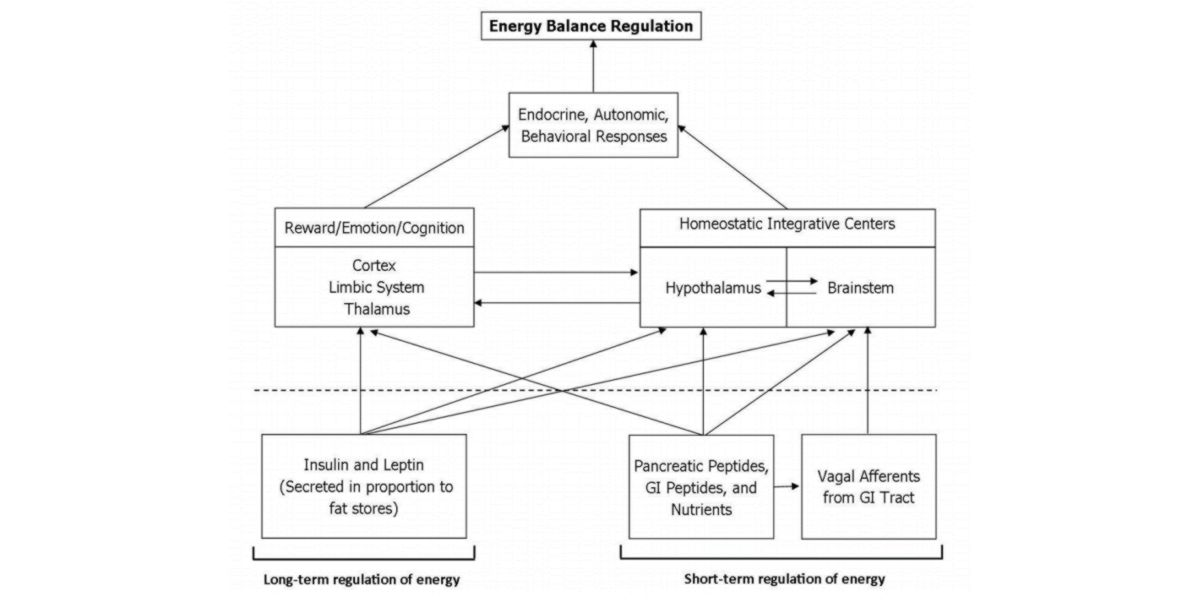 Energy regulation