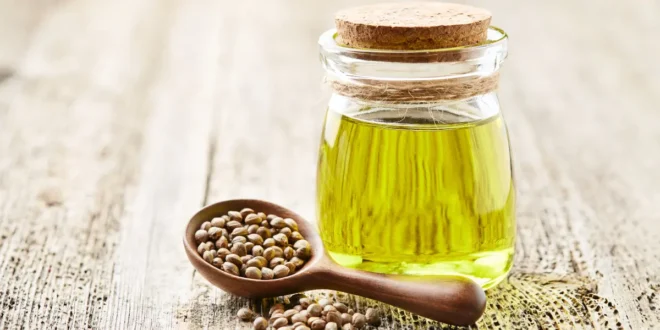 Proven Benefits of Hemp Seed Oil Proven Benefits of Hemp Seed Oil