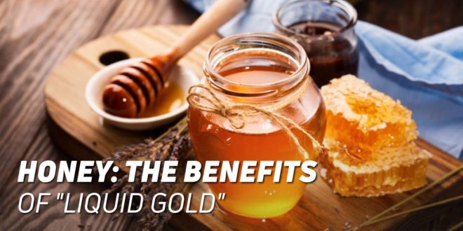 Honey: The Benefits of this Sweet Gold Honey: The Benefits of this Sweet Gold