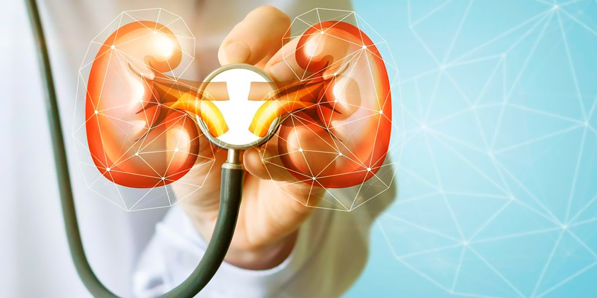 Improving kidney function