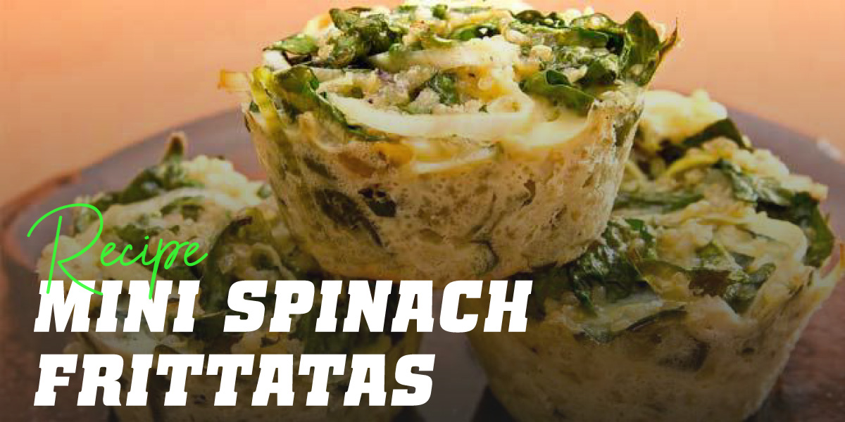 ▷ Spinach, Quinoa and Cheese Frittatas 【HSN Blog】