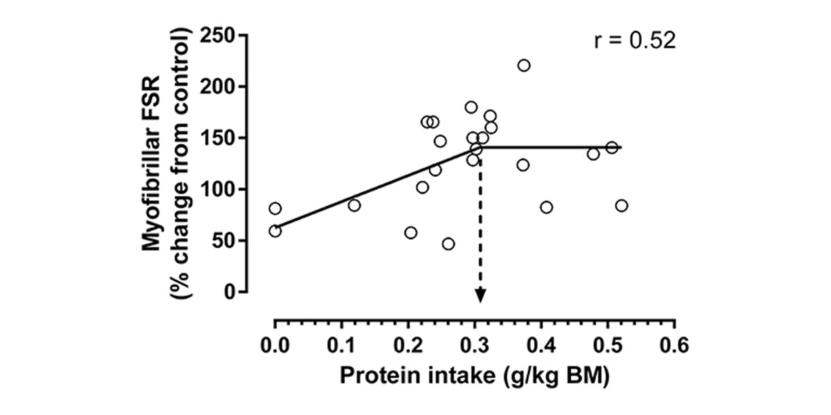 Protein intake