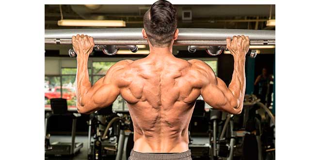 Pull ups Pull ups