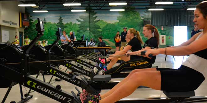 Rowing machine Exercices
