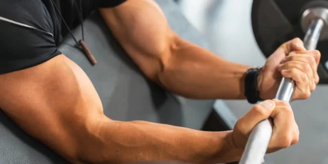 The Best Exercises for Forearms The Best Exercises for Forearms