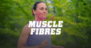 Types of muscle fibre