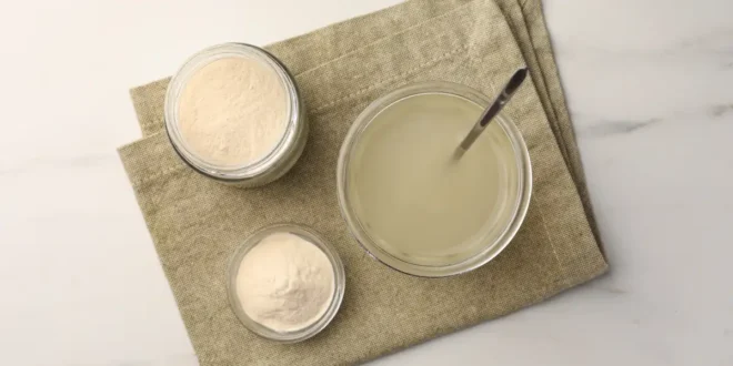 Discover the different Types of Collagen, Which is Better?