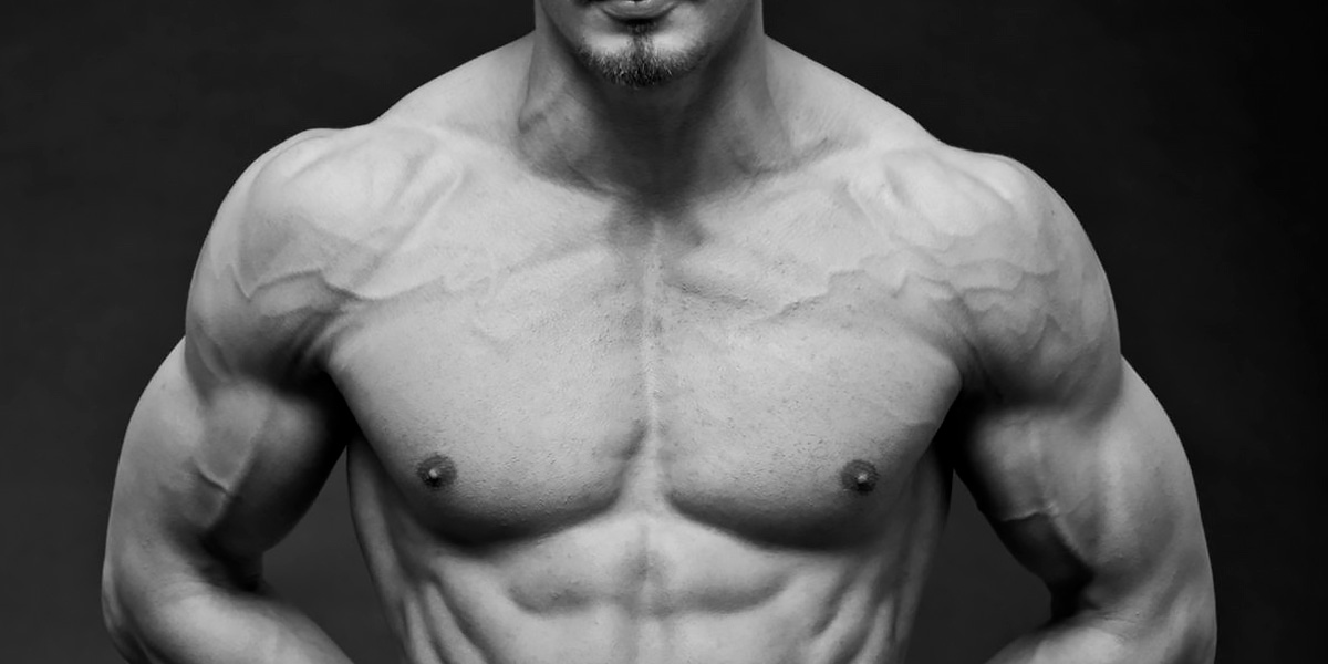 Vascularity Vascularity
