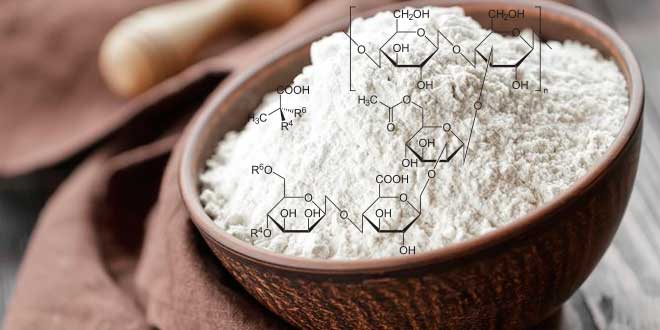 Xanthan gum structure