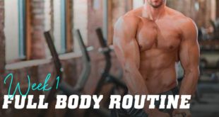 Full body routine week 1