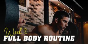 Full body routine week 2