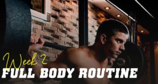 Full body routine week 2