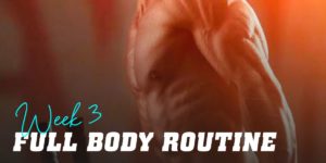 Full body routine week 3