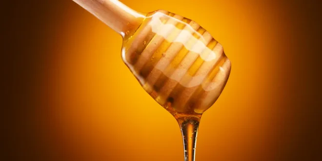 Honey: The Benefits of this Sweet Gold Honey: The Benefits of this Sweet Gold