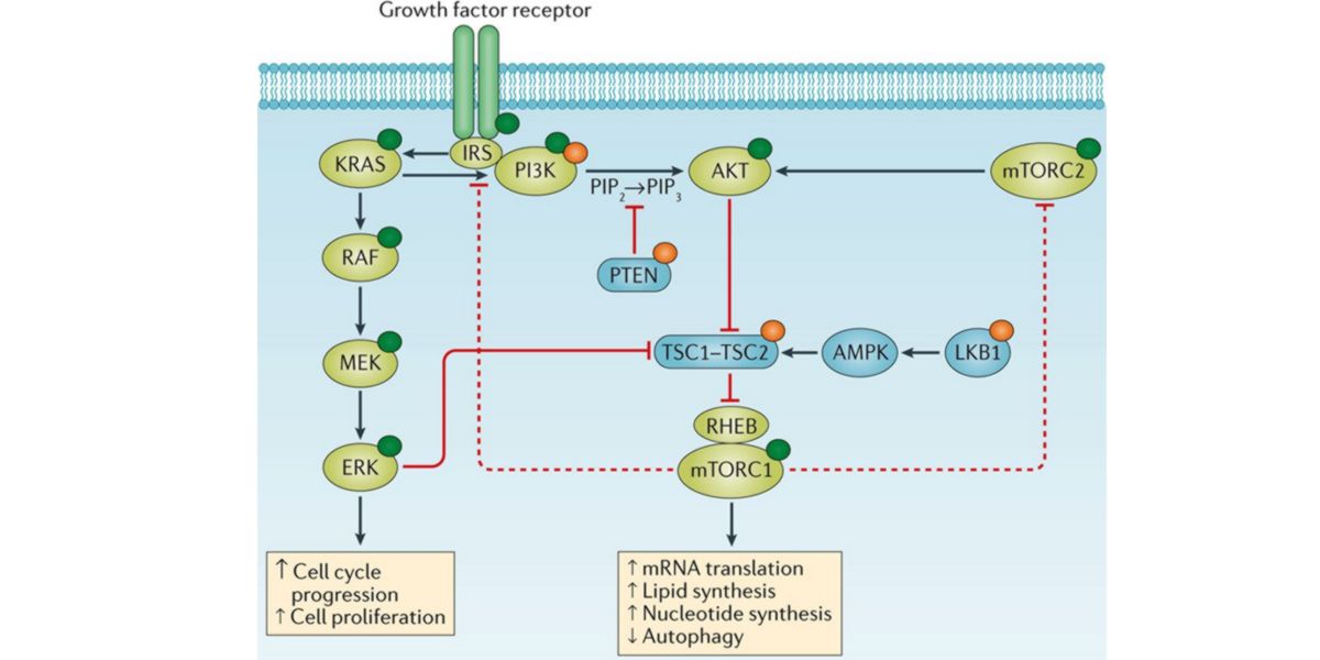 Activation system