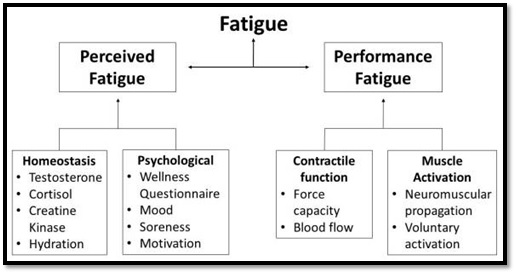 Fatigue perception basketball Fatigue perception basketball