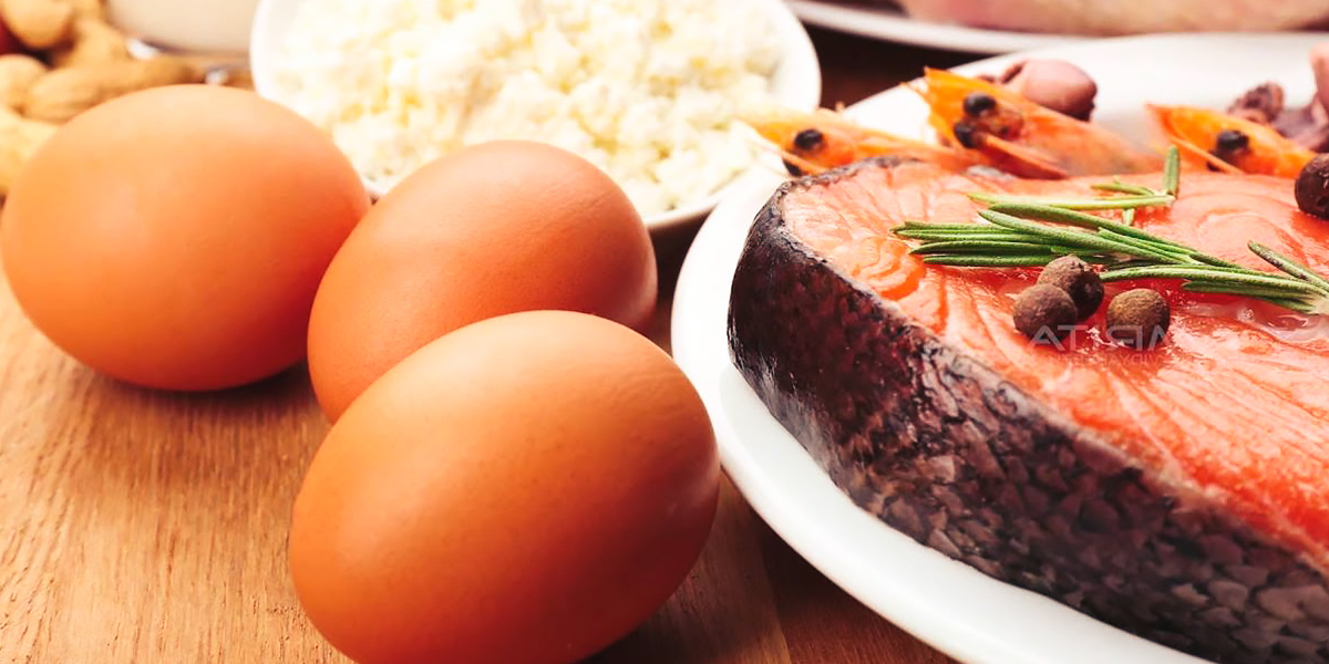 Macronutrients Macronutrients