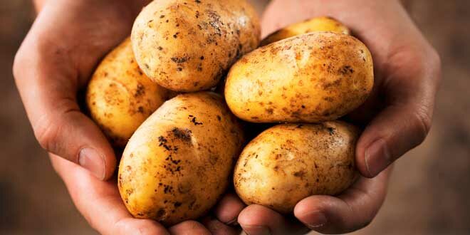 Resistant Starch: What is it, Benefits, Does it help with weight loss?