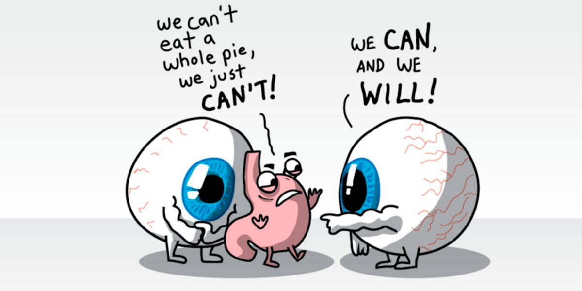 Second stomach Second stomach