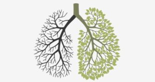 Supplements for smokers