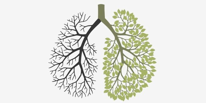 Supplements for Smokers