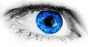 Zeaxanthin - Protect your Eye Health