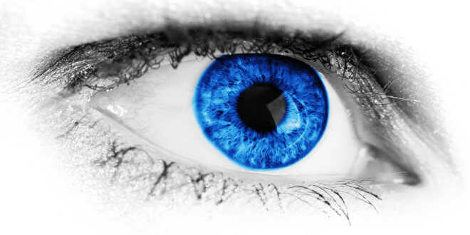 Zeaxanthin – Protect your Eye Health