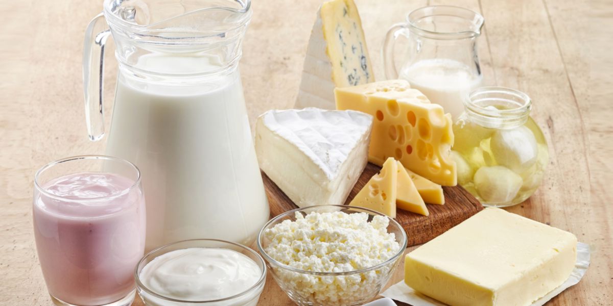 Foods lactose