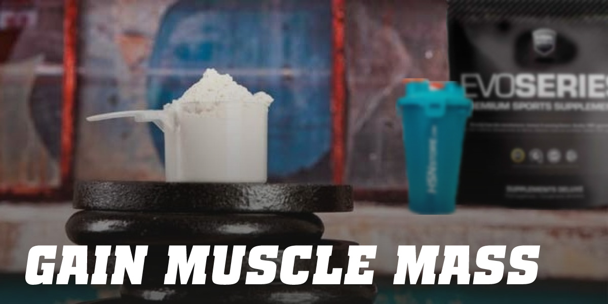 Gain muscle mass Gain muscle mass