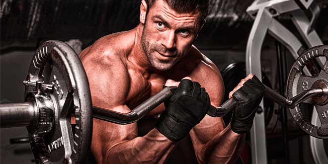 gain muscle gain muscle
