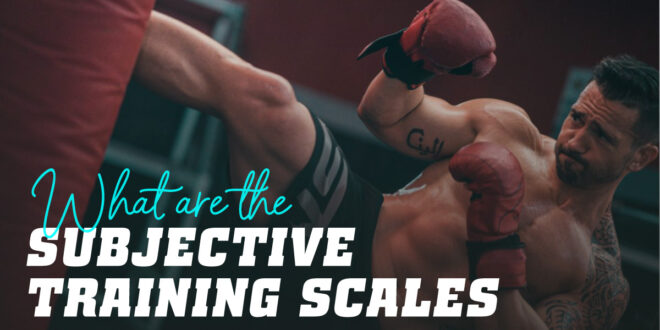 What are the Subjective Training Scales?