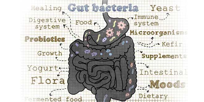 Intestinal flora