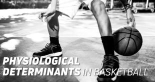 Physiological determinants in basketball