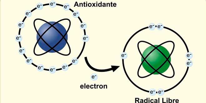 Antioxidant free radicals