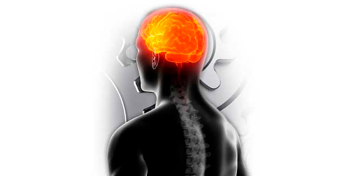 Benefits Acetyl L carnitine Benefits Acetyl L carnitine