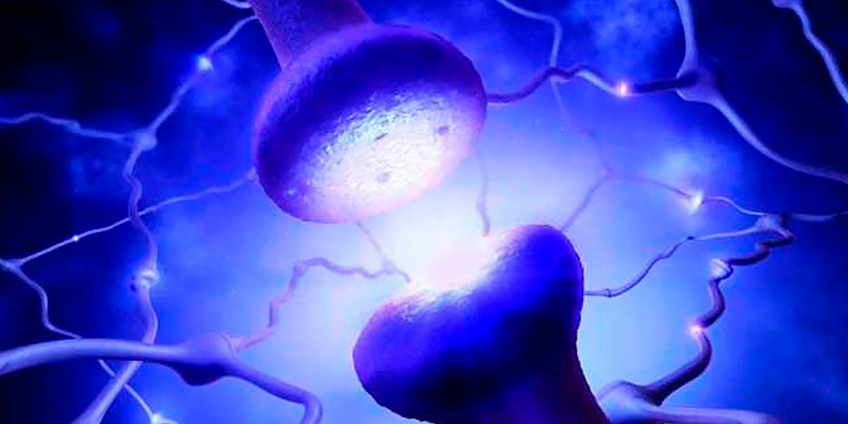 Choline and Inositol Choline and Inositol
